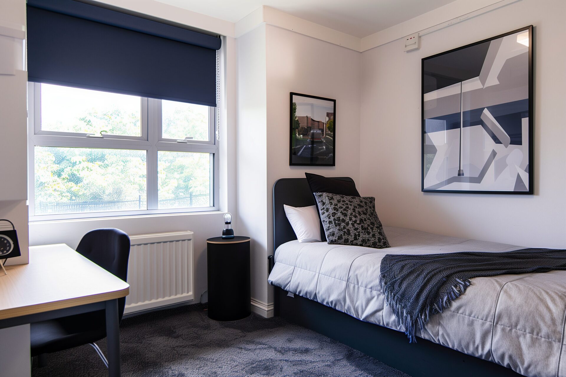 Investing in a Student HMO: Licensing, Rooms and Tenancy Rules
